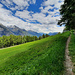 Le long du bisse de l'Alte Eischler.