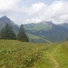 Sicht in Richtung Rochers de Naye