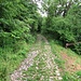 In località Ronchetto ha inizio una magnifica strada a  "rizzata".