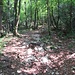 Il sentiero che sale al Monte San Giorgio in località Ul Giüraa.