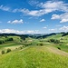 Rückblick über das Tal des Goldbachs - mit Schwanden