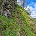 ...nach rechts, einer ausgeprägten Gamsautobahn folgend, die uns suggerierte, dass man auf ihr bis zum Gipfel durchsteigen könnte.