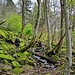 Weglos im Kar zwischen Rainkopf und Rothenbachkopf. 
