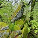 Die ersten Felsen lassen wir natürlich nicht aus.