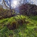 Der Sonne entgegen!