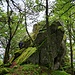 Vom Rainkopf ging es in östlicher Richtung auf einem wunderschönen Weg über einen wenig begangenen Rücken hinunter.