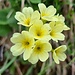 Wenigstens ein Blümchen im Bericht