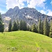 Schöner Wiesenfleck