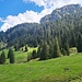 Vorderes Mühlbacher Älpele mit dem Schönleitenschrofen 