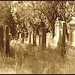 Radouň, jüdischer Friedhof