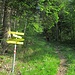 Schilderbaum mit Beschilderung zur Postalm bei der ersten Querung des Wirtschaftswegs.  Den Pfad muss man unten aber erstmal finden, vgl. letztes Foto.  Der Weg ist übrigens richtigerweise schwarz beschildert.