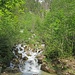 Der schöne, gut mit Wasser gefüllte Habacher Bach.  Klar, oben ist noch Schneeschmelze.  Ohne Brücke hätte man aktuell, bei der Wassermenge, eher keine Chance den zu queren.