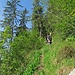 Im steilen Aufstieg zur Postalm.  Die Steilheit des Geländes ist leider nur zu erahnen, aber die Wegspur ist, wie auf dem Foto zu sehen, zum Glück wirklich gut.