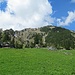 Kurz vor der Hochalm biegen wir hier über die Wiese in Richtung des Hangs im Hintergrund ab.  Es gibt Markierungsstangen die zum Weg leiten.