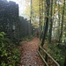 Abstieg vom Thierberg entlang der Burgmauer