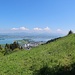 Vue sur Pfäffikon, Rapperswil et le lac de Zurich depuis Luegeten