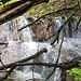 nach dem Regen blüht der Wasserfall auf