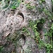 auffällige Eindrücke im Grauen Stein