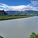 der Rhein