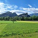 auf dem Weg zum Regitzer Spitz (nach der Überquerung des Rhein bei Trübbach)
