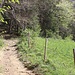 am Waldrand