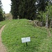 Umgehung der Kletterstelle