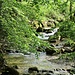 Stegenbach, Zubringer der Weißach 