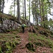 Felsenwald