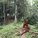 Pfadspur zum Gipfel