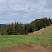 Blick vom Hörnle Vorgipfel zum Hauptgipfel