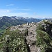 Sorgschrofen Vorgipfel mit Silberwurz