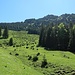 Unter dem Sorgschrofen