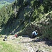 Steile Rinne