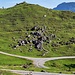 gut zu sehende Fahrstraßenkreuzung und das Hügelkreuz auf der Erhebung neben der Einödalm