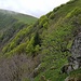 Rüberblick zum Rothenbachkopf.