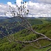 Aus dem Steilhang der Sonne entgegen.
