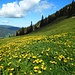 Aufstieg zum Breitenstein