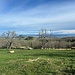 Aussicht Richtung Bodensee