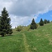 Aufstieg am Rande der Skipiste.