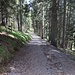 Am breiten Weg geht es zurück zum Parkplatz Waldtratte.