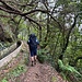 scm auf dem Weg nach Ribeiro Frio