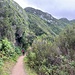 scm auf dem Küstenweg