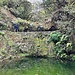 Levada do Furado