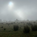 Sonne drückt durch den Nebel