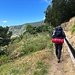 scm wandert entlang der Levada do Caniçal - Machico