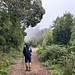 scm auf dem Weg nach Ribeiro Frio