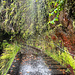 Wasserfall auf dem Wanderweg