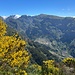 Curral das Freiras