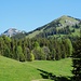 Aufstieg vom unteren Sudelfeld zur Käserwand/Wildalpjoch
