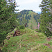 Blick vom Studberg zum Ochs.